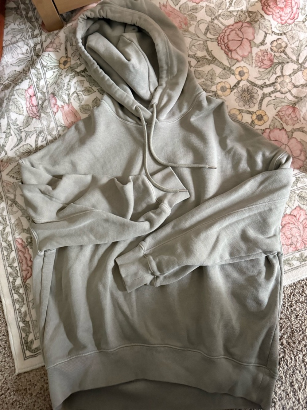 Aritzia Oversized Sage Green Hoodie